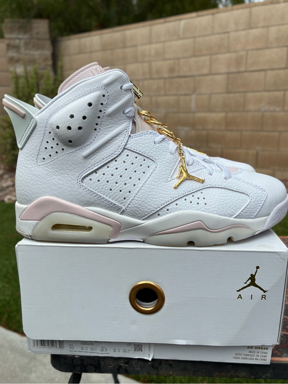 Air Jordan 6 Retro GOLD HOOPS